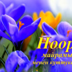 Ала-Тоонун ичинде ар улуттун өзүндөй Нооруз майрамы жазда жар салат. Жакшылыкка жар болгон Нооруз майрамы ар бир жанга кол сунат.  Кыргыз жергесинде тилеги ак Нооруз майрамы кут болсун!